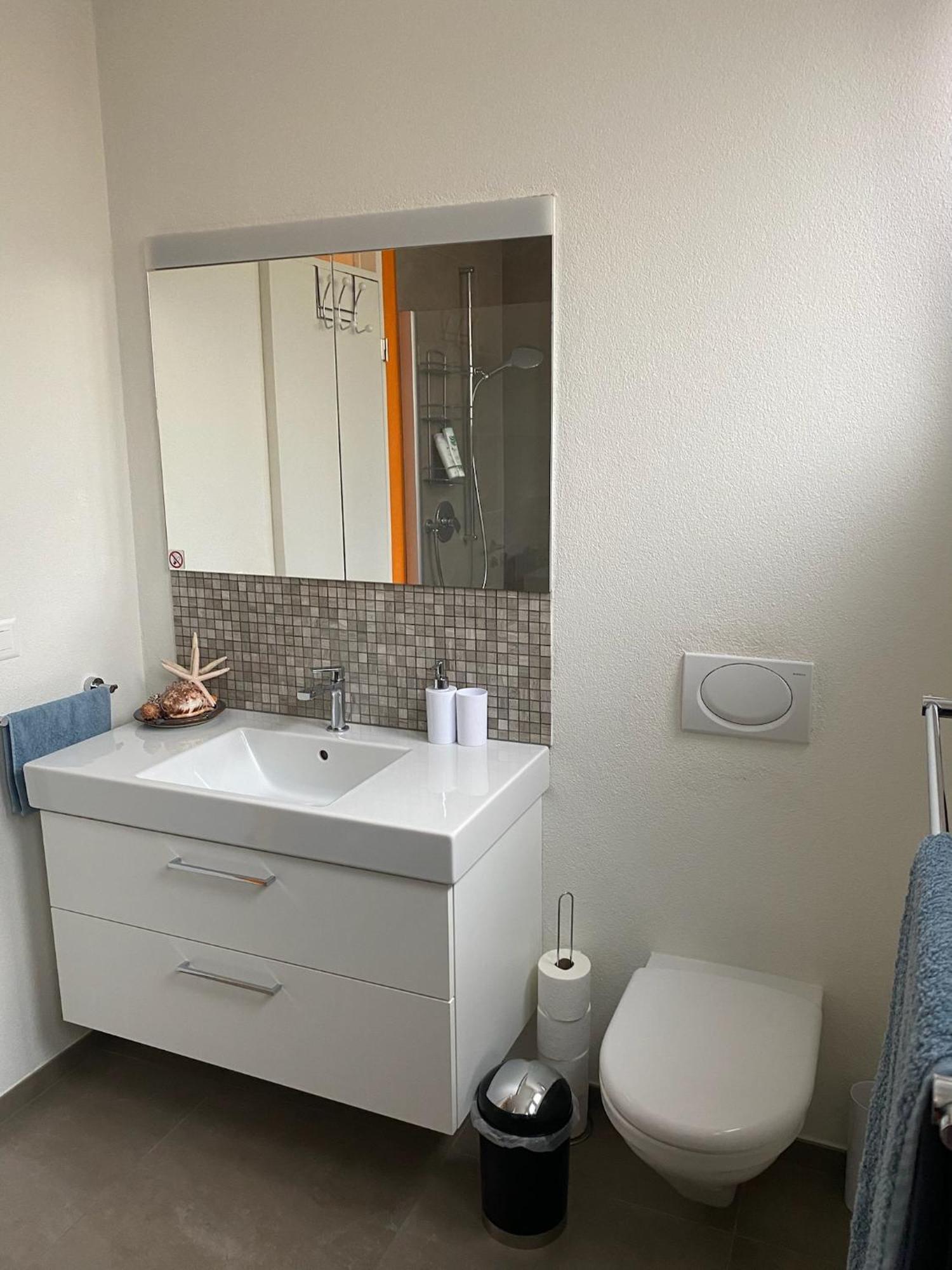 Apartment With Private Garden & Free Parking Koniz